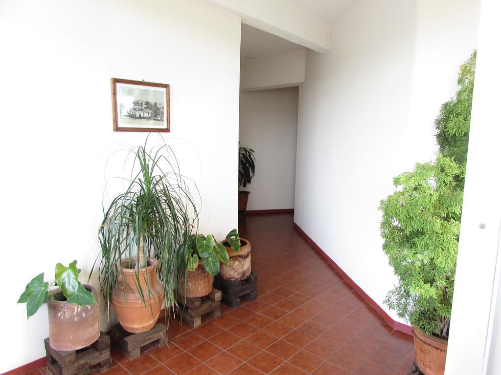 Hotel Puerto Piedra Puerto Escondido  Ngoại thất bức ảnh