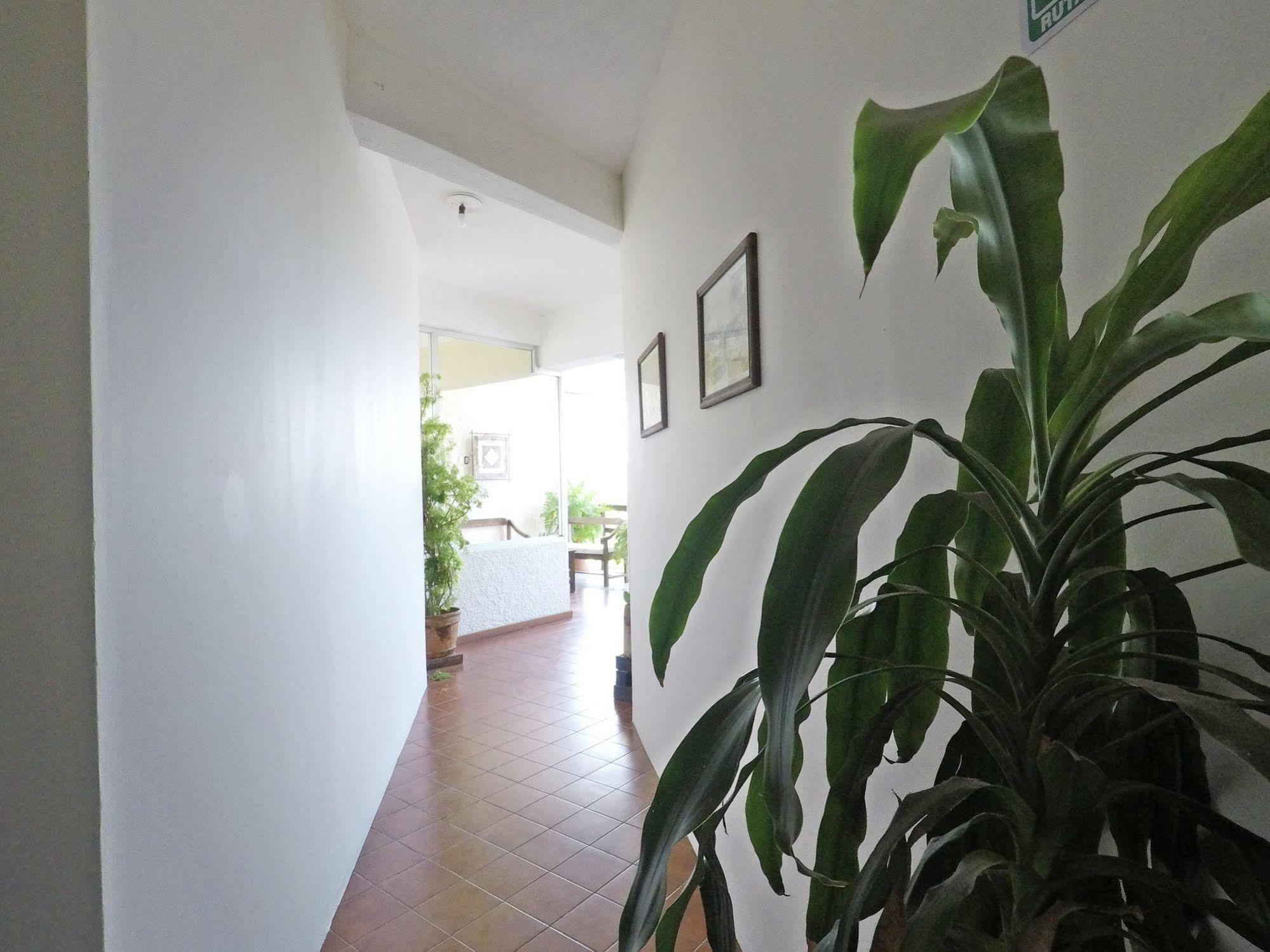 Hotel Puerto Piedra Puerto Escondido  Ngoại thất bức ảnh